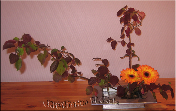 nature-ikebana-bordeaux